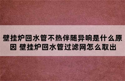 壁挂炉回水管不热伴随异响是什么原因 壁挂炉回水管过滤网怎么取出